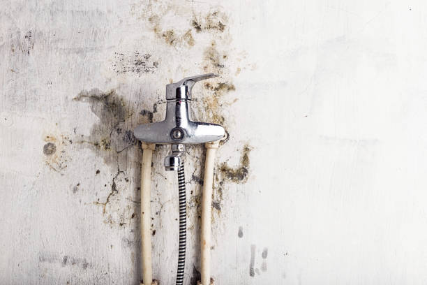 Best Industrial Mold Remediation in Helena, AL