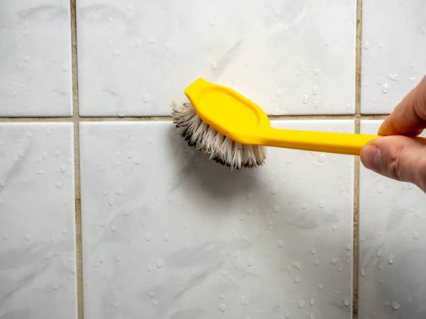  Helena, AL Mold Removal Pros