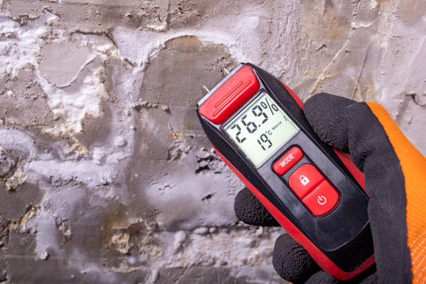 Best Mold Testing and Inspection Services in Helena, AL