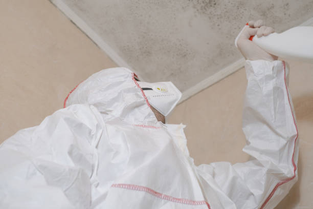 Professional Mold Remediation in Helena, AL
